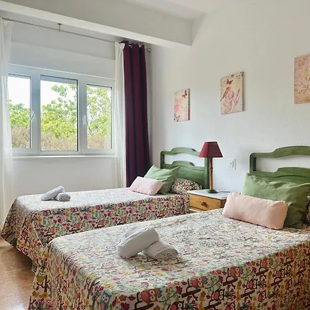 Cancillo - 6802 Noja